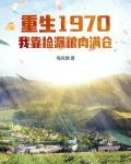 重生1970我靠捡漏粮肉满仓