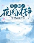 莲花楼之夜阑风静