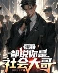 别洗了都说你是社会大哥TXT